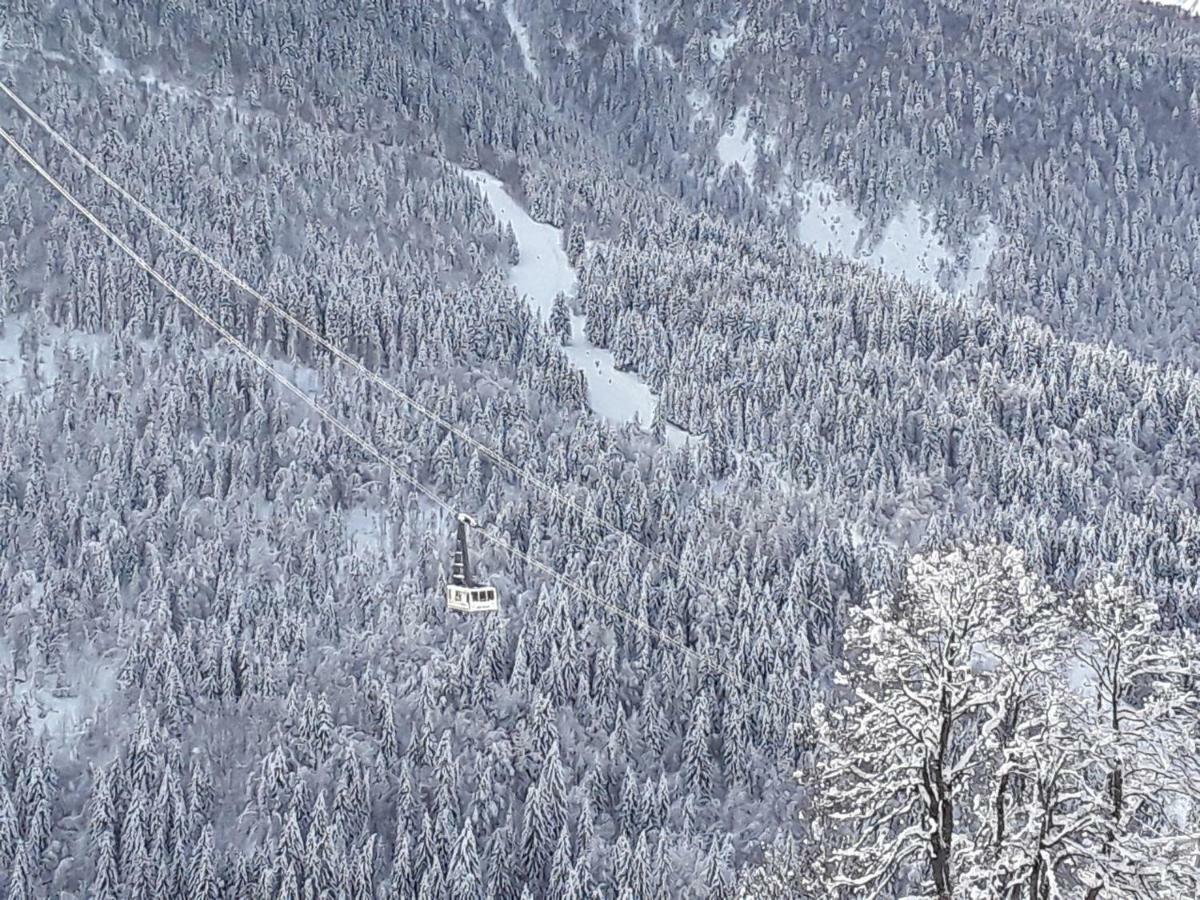 L'Aigle Royal Διαμέρισμα Vaujany Εξωτερικό φωτογραφία